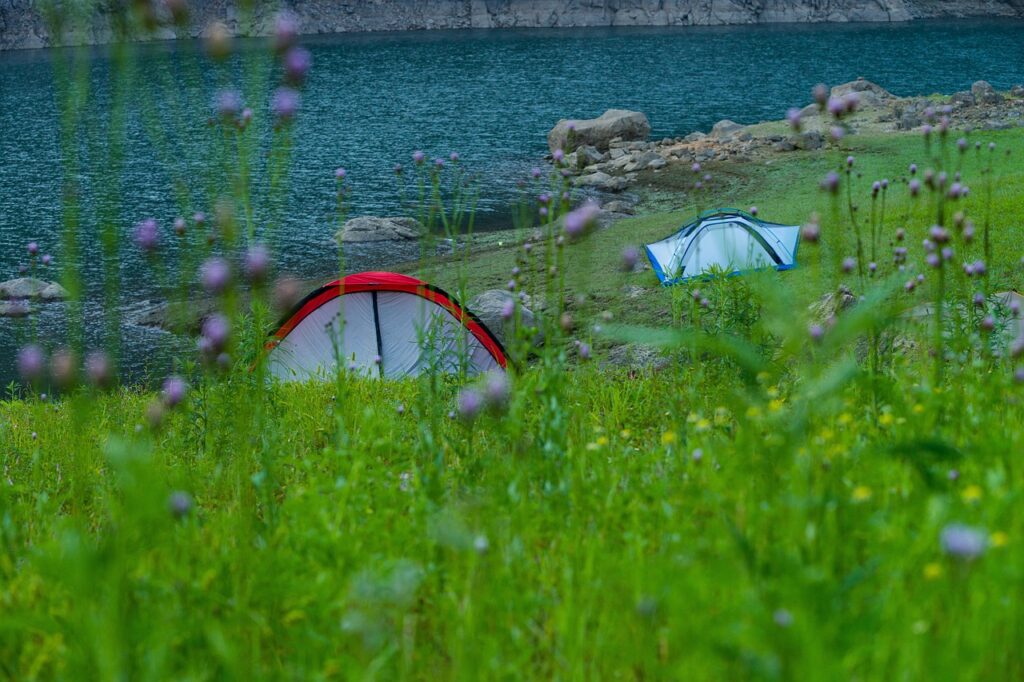 湖のほとりに設営されたテントと草花に囲まれた自然豊かなキャンプ場の風景