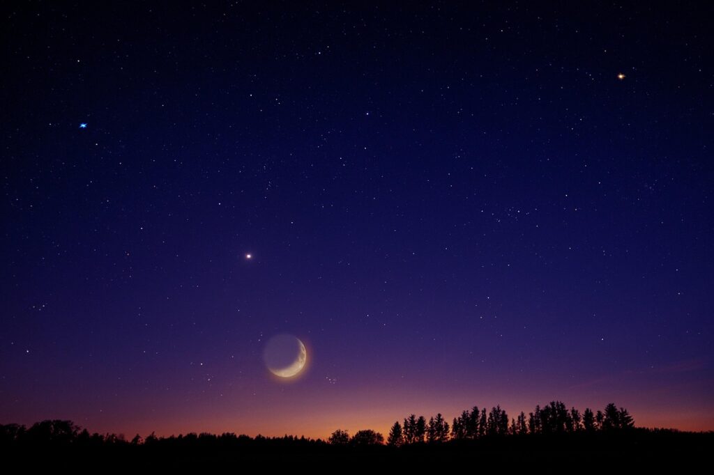 三日月と満天の星が広がる静かな夜空と森のシルエット