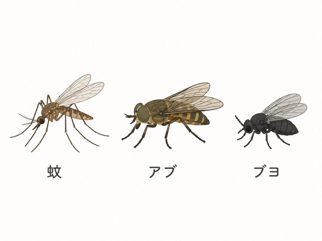 蚊・アブ・ブヨの違いをイラストで比較した虫対策用の解説画像