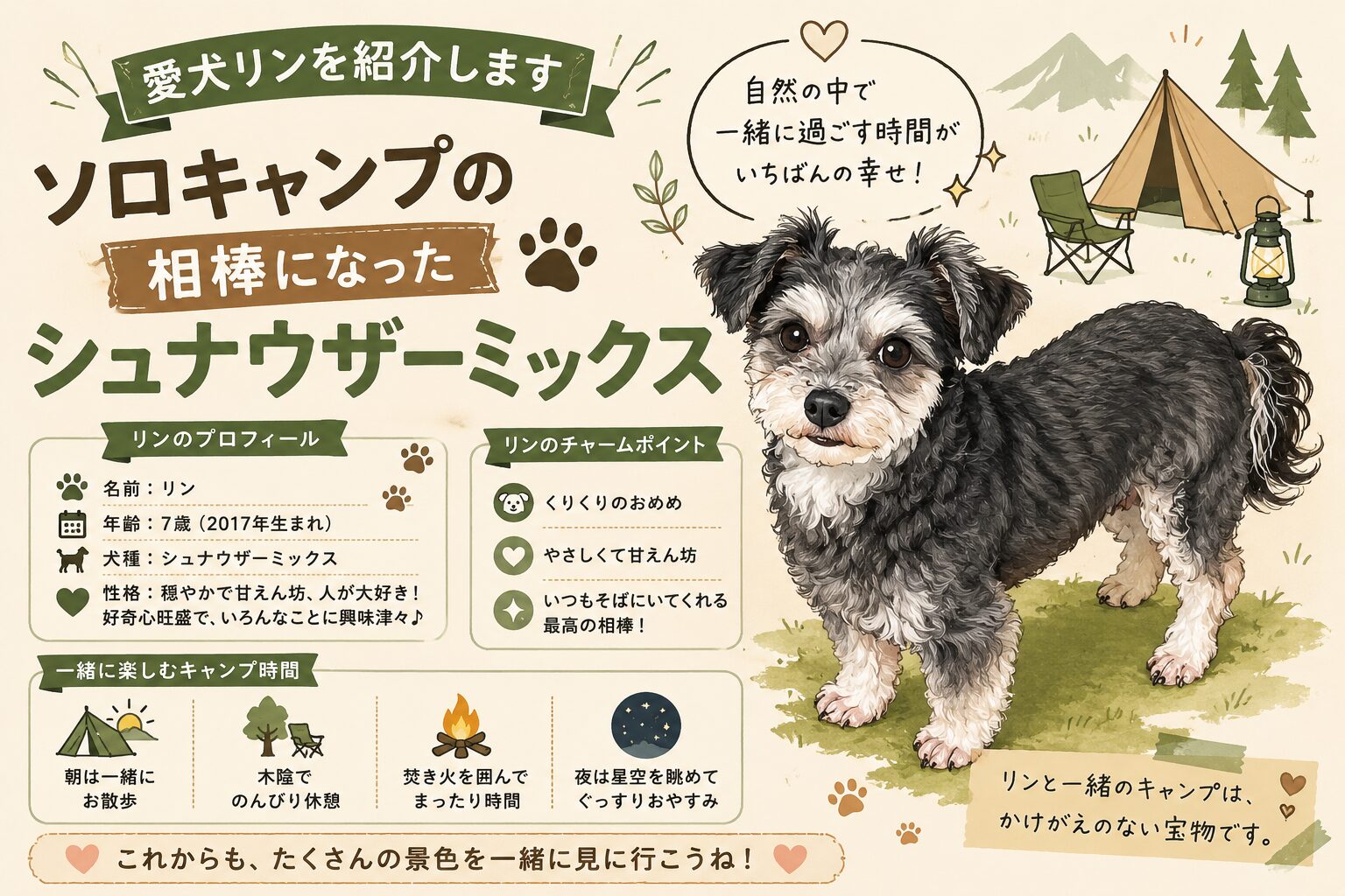 ソロキャンプの相棒になった愛犬リン(シュナウザーミックス)のプロフィールや魅力を紹介するアイキャッチ画像。