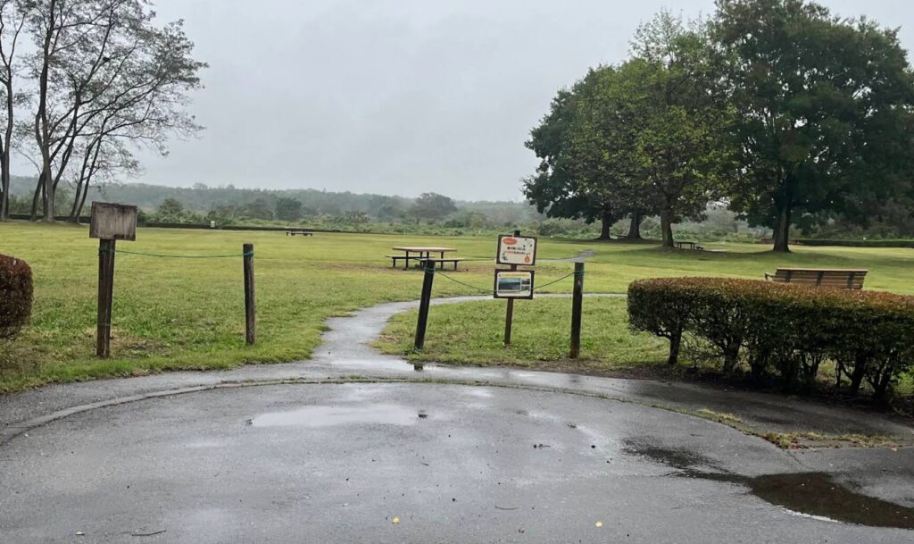鬼怒川緑地運動公園バーベキュー広場の広々とした芝生エリア。