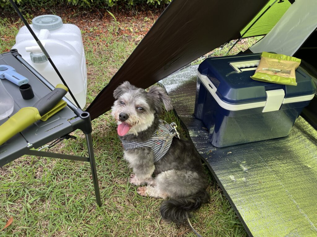 ソロキャンプ中の愛犬リンがタープの下で笑顔を見せながらくつろいでいる写真。